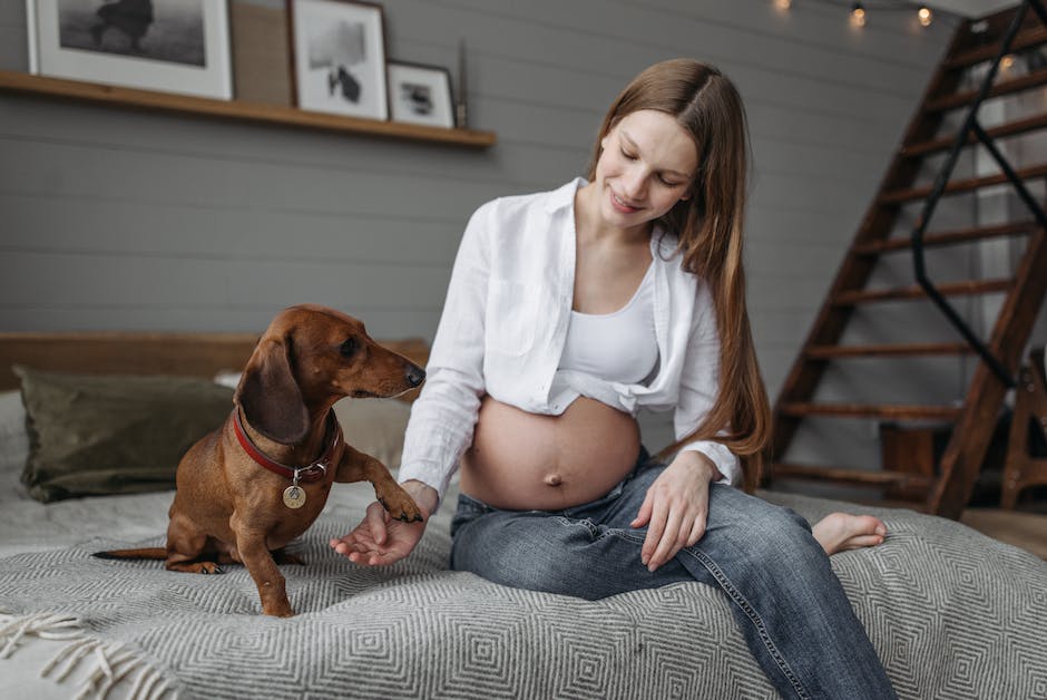 alt-Attribut für das Baby im Bauch hören