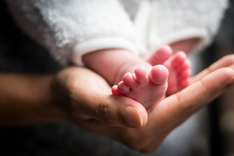 Meisten Babys kommen im Sommer zur Welt