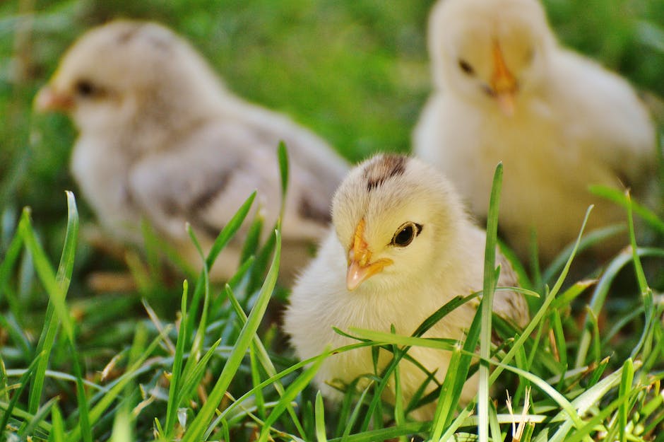  Krabbelalter Babys Durchschnitt